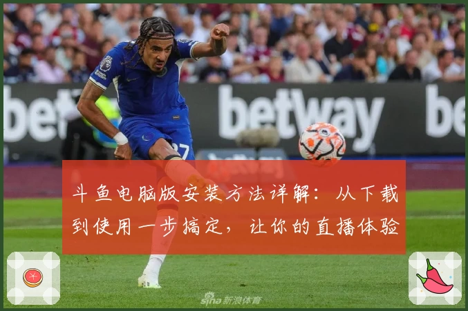 斗鱼电脑版安装方法详解:从下载到使用一步搞定,让你的直播体验更精彩