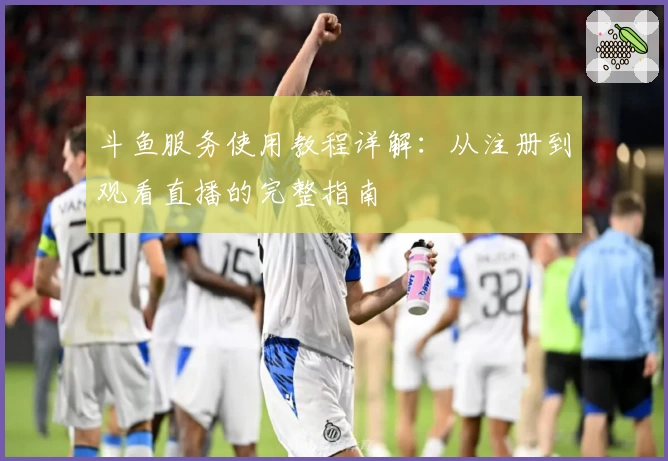 斗鱼服务使用教程详解：从注册到观看直播的完整指南