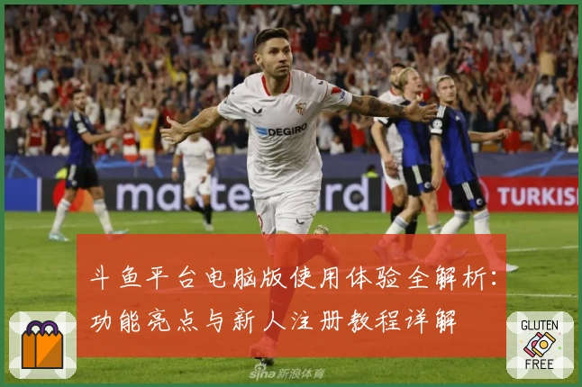 斗鱼平台电脑版使用体验全解析：功能亮点与新人注册教程详解