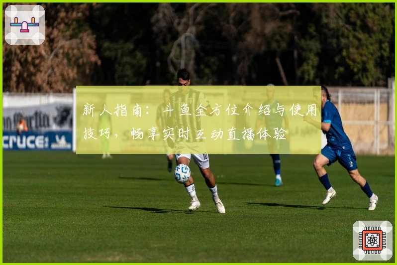 新人指南：斗鱼全方位介绍与使用技巧，畅享实时互动直播体验