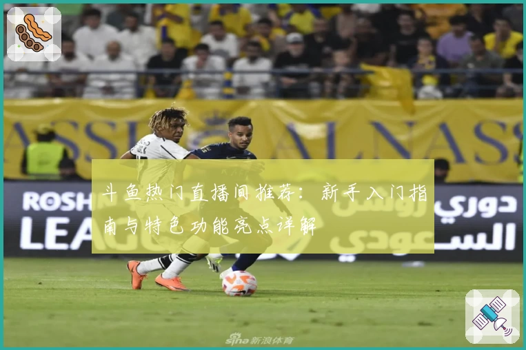 斗鱼热门直播间推荐：新手入门指南与特色功能亮点详解