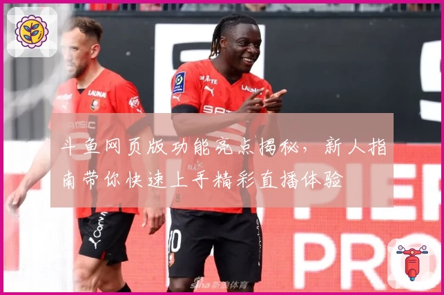 斗鱼网页版功能亮点揭秘，新人指南带你快速上手精彩直播体验